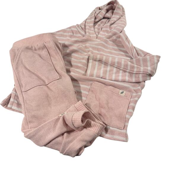 EZPZ Easy Peasy Other - Easy Peasy 24M Toddler Girl Long Sleeve Pullover and Pant Outfit